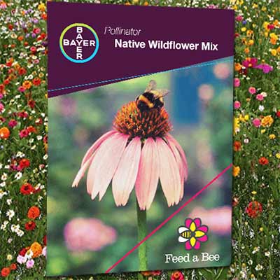 Free Wildflower Seed Packets - Freebies Lovers
