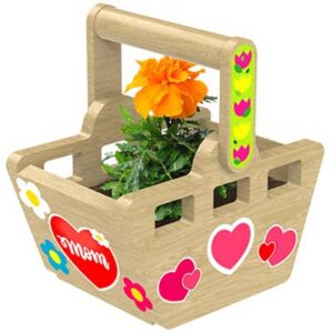 Free Basket Planter Kit