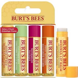 Free Burt's Bees 100% Natural Lip Balm