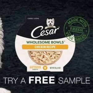 Free Cesar Canine Cuisine Wholesome Bowl