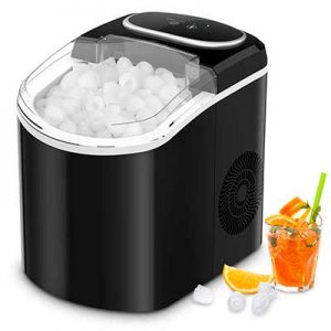 Free Ice Maker Available For Trial