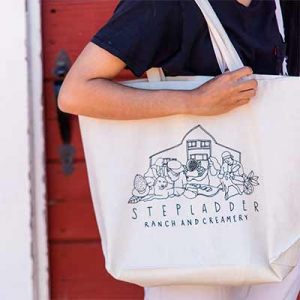 Free Stepladder T-Shirt & Tote Bag and  Exclusive Cheese Bundle