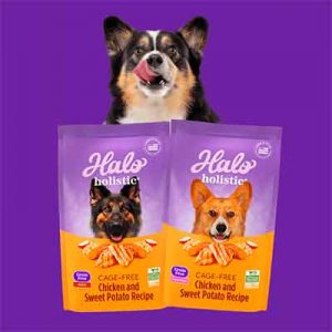 Free Halo Holistic Cage-Free Chicken & Sweet Potato Recipe Dog Food