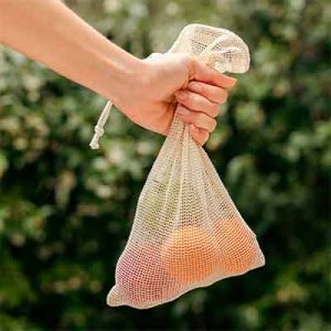 Free Mesh Produce Bag From The Market Bags